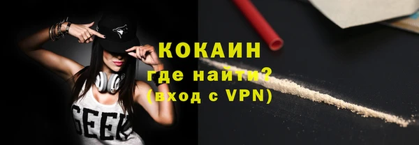 гашик Алексеевка