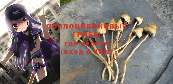 гашик Алексеевка