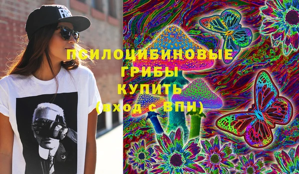 прущая мука Алексин