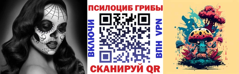 Псилоцибиновые грибы Psilocybe  Муравленко 